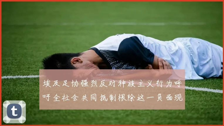 埃及足协强烈反对种族主义行为呼吁全社会共同抵制根除这一负面现象